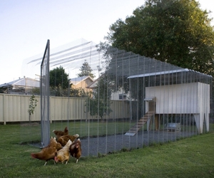 Origami Coop by Chris Mullaney