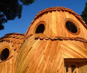 Owl-architecture-by-zebra3-m