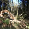 Pendle-sculpture-trail-in-woods-by-philippe-handford-s