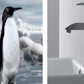 Penguin-faucet-made-by-fluid-s