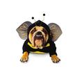 Pet-costume-s