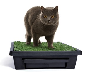Pet-loo-kitty-trainer-m