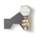 Pharmaceutical-cabinet-by-cline-forestier-s