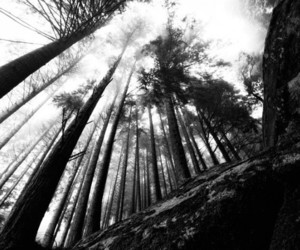 Photography-by-rui-luz-m