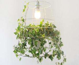 Photosynthesis-lamp-m