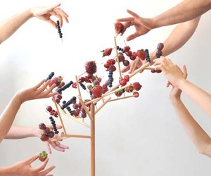 Picking-fruits-m