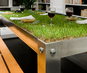 Picnic Table: Indoor Landscape