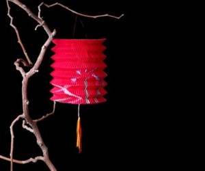 Pink-colored-paper-lanterns-just-artifacts-m