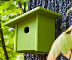 Pitch-birdhouse-by-loll-m