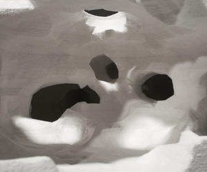 Polar-ants-arctic-research-facility-m
