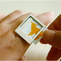 Polaroid-ring-s