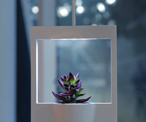 Polaroid Vase by Jung Hwajin
