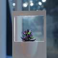 Polaroid-vase-s