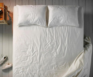 Polarpillow-m