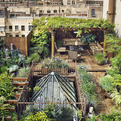 Private-garden-paradise-in-chelsea-s