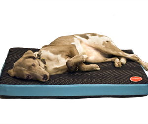 Project71-dog-bed-m