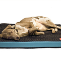 Project71-dog-bed-s