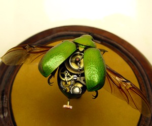 Pseudo-victorian-mechanical-steampunk-insects-m