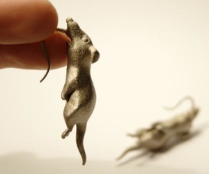 Rat Earrings