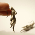 Rat-earrings-s