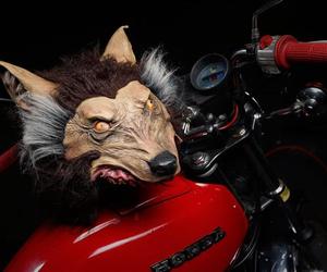 Realistic-wolf-helmet-m