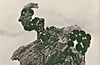 "Reflection" detail