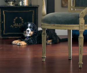 Rich-cognac-bamboo-flooring-teragren-m