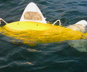 Robotic Fish Scan Water For Pollution