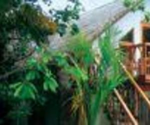 Romantic-accommodation-honeymoon-m