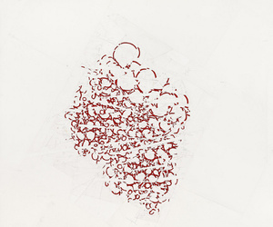 RONI HORN