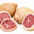 Roni-reuveny-bleeding-fruits-s