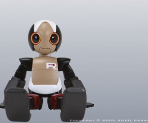 ROPID: The most athletic humanoid robot!