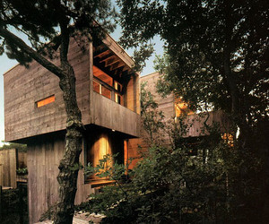 Rustic-fire-island-treehouse-m