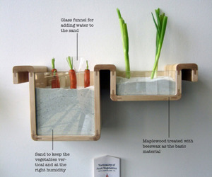 Save-food-from-the-fridge-by-jihyun-ryou-m