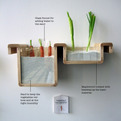 Save-food-from-the-fridge-by-jihyun-ryou-s