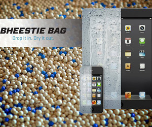 Save Your Wet Phone and Electronics