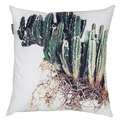 Scatter-cushions-by-clinton-friedman-s
