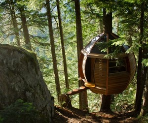 Secret-hemloft-treehouse-in-canadian-woods-m