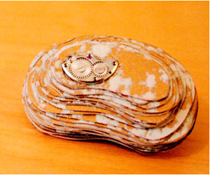 Shani-kraset-black-and-white-fossils-m