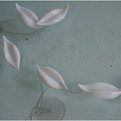 Shimon-cornfeld-floating-emotions-s