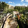 Shoffice-shed-office-by-platform-5-architects-s