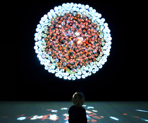 Sikka-magnum-installation-by-daniel-canogar-m