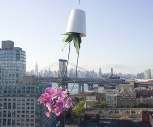 Sky-planter-by-boskke-m