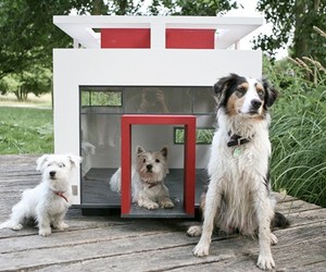 Slick-houses-modern-cubix-pets-m