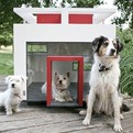 Slick-houses-modern-cubix-pets-s