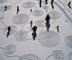 "Snow Bunnies" Trampled Art by Sonja Hinrichsen