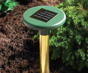 Solar-underground-pest-deterrent-m