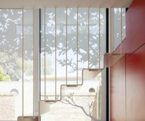 Stairs in the Tattoo House by Andrew Maynard Architects