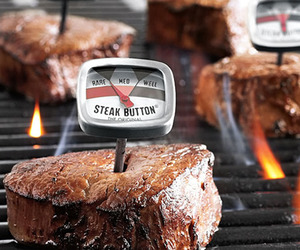 Steak-button-thermometer-m