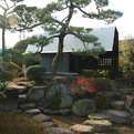 Steel-sheet-teahouse-by-ks-architects-s